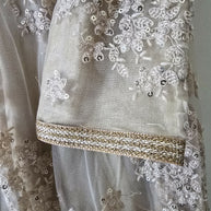 Occasion wear ethnic suit